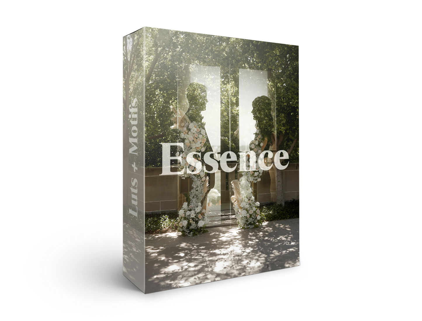 The Essence LUTs and Motifs